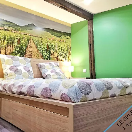 Splendide - Route Du Vins