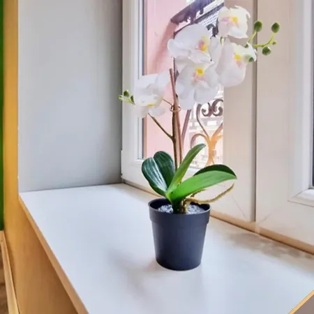 Apartament Splendide - Route Du Vins