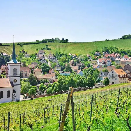 Splendide - Route Du Vins Barr