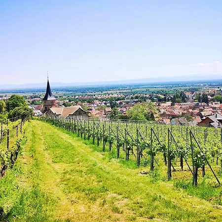 Splendide - Route Du Vins Apartment