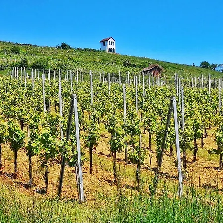 Διαμέρισμα Splendide - Route Du Vins *