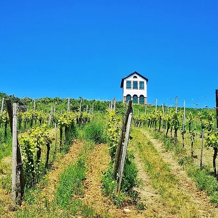 Splendide - Route Du Vins Apartament *