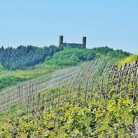 Apartament Splendide - Route Du Vins *