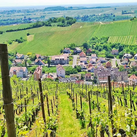 Splendide - Route Du Vins *