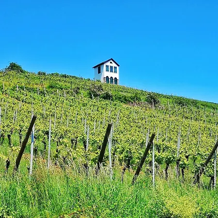 Διαμέρισμα Splendide - Route Du Vins