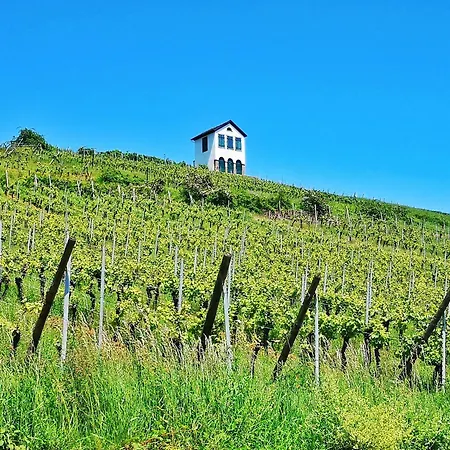 Apartment Splendide - Route Du Vins