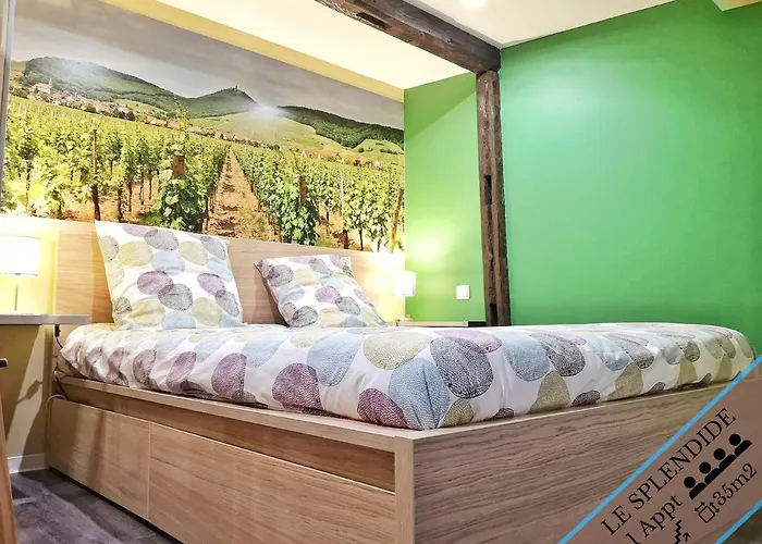 Splendide - Route Du Vins