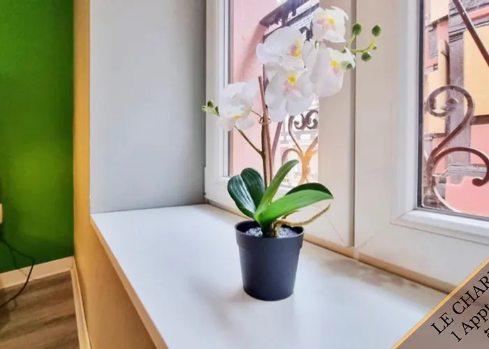 Appartement Splendide - Route Du Vins