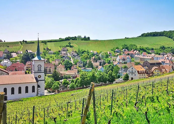 Splendide - Route Du Vins Barr