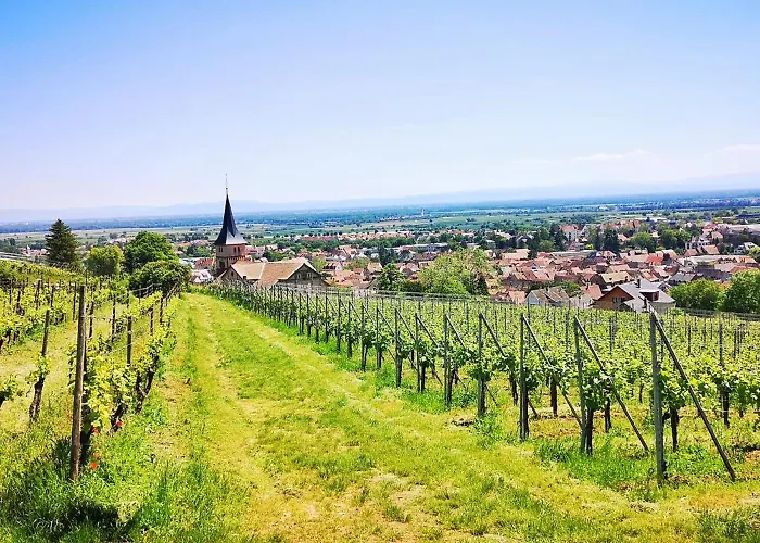 Splendide - Route Du Vins Appartement