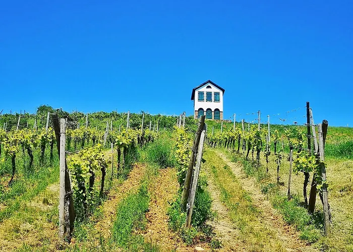 Splendide - Route Du Vins Appartement *