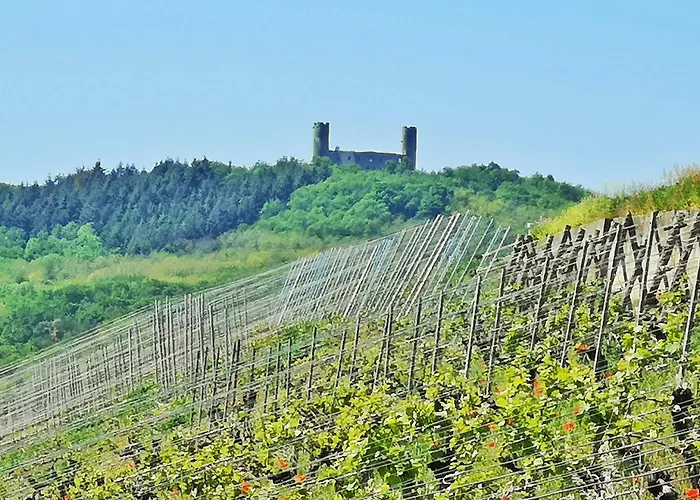Appartement Splendide - Route Du Vins *