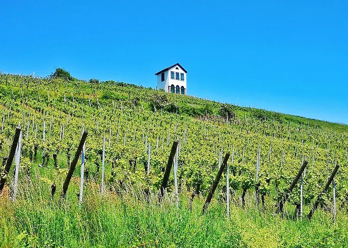 Appartement Splendide - Route Du Vins