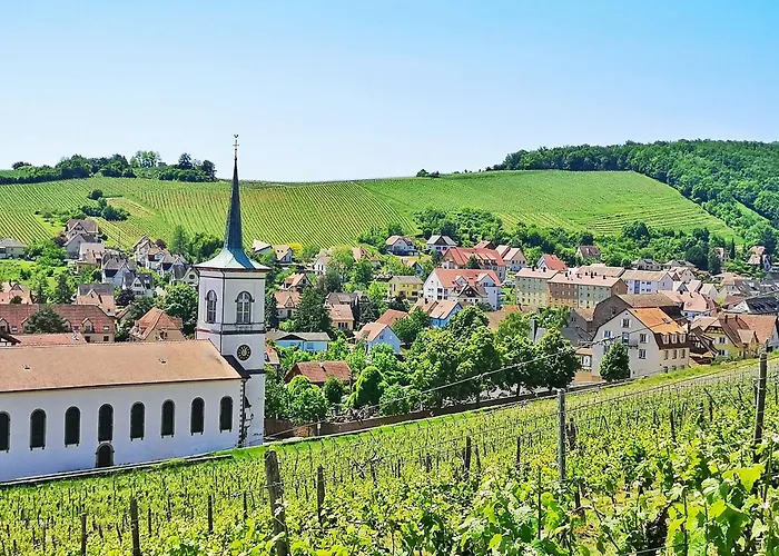 Splendide - Route Du Vins Barr
